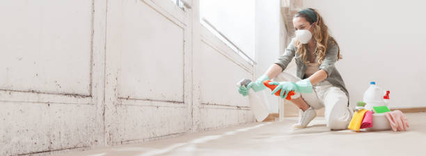 Why You Should Choose Our Mold Remediation Services in Poth, TX